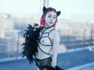 Yukiamecat