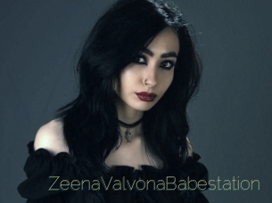 ZeenaValvonaBabestation