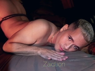 zaidlion Visio Tchats