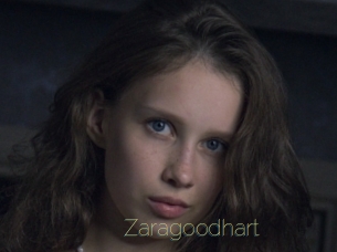 Zaragoodhart