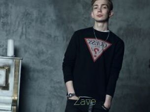 Zave