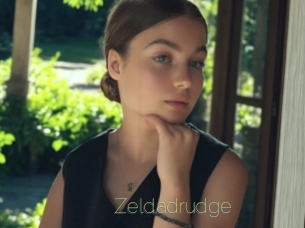 Zeldadrudge