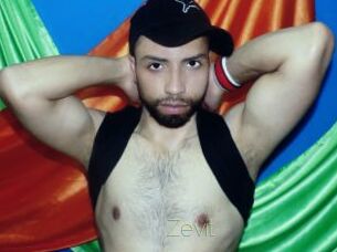 Zevit